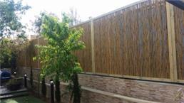 תמונה שצולמה להמחשת העבודות של עץ המרכז תמונה של עץ המרכז