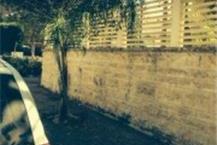 תמונה שצולמה להמחשת העבודות של עץ המרכז תמונה של עץ המרכז