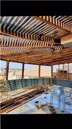 תמונה של עץ המרכז