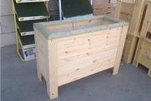 תמונה של עץ המרכז