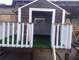 תמונה של עץ המרכז