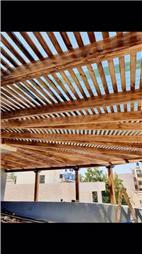 תמונה שצולמה להמחשת העבודות של עץ המרכז תמונה של עץ המרכז