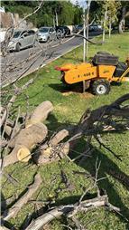 תמונה של לביא טיפוח עצים