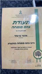 תעודה של לביא טיפוח עצים