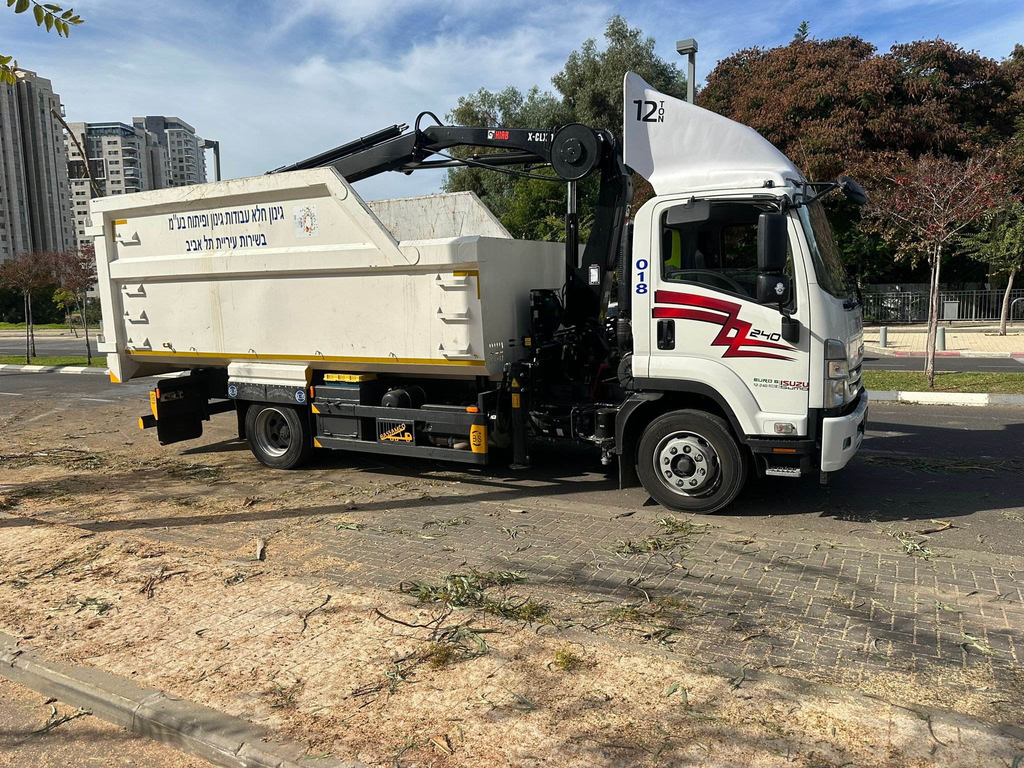 תמונה שצולמה להמחשת העבודות של לביא טיפוח עצים תמונה של לביא טיפוח עצים