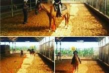 תמונה שצולמה להמחשת העבודות של החווה של נוי בע"מ - 1 תמונה של החווה של נוי בע"מ