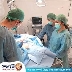 תמונה של בית חולים וטרינרי - הגורים של אייל