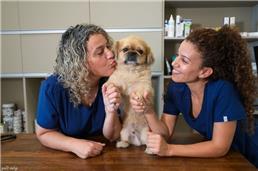 תמונה שצולמה להמחשת העבודות של קרמור מרפאה וטרינרית תמונה של קרמור מרפאה וטרינרית