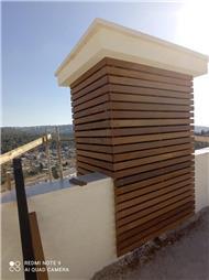 תמונה של The woodpecker