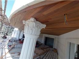 תמונה של The woodpecker