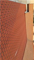 תמונה של The woodpecker