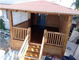 תמונה של The woodpecker