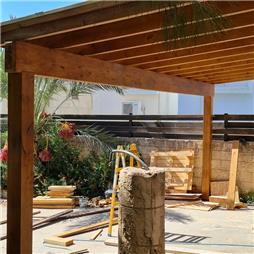 תמונה של The woodpecker