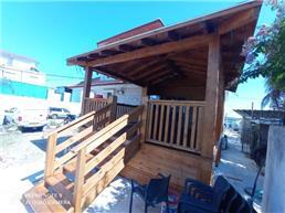 תמונה של The woodpecker