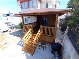 תמונה של The woodpecker