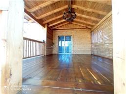 תמונה של The woodpecker