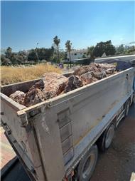 תמונה של א. סעיד פיתוח ותשתיות