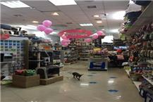 תמונה שצולמה להמחשת העבודות של אנימל דיל animal deal תמונה של אנימל דיל animal deal