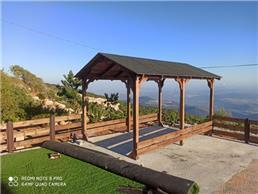 תמונה של THE 19 DEGREE