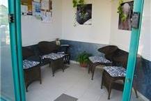 תמונה שצולמה להמחשת העבודות של וט קליניק - ד"ר סתונית כץ מרפאה וטרינרית בצורן