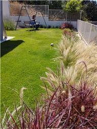 תמונה של ארז גינה בראש שקט