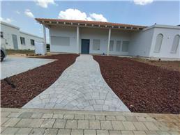 תמונה של ארז גינה בראש שקט