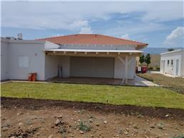 תמונה של ארז גינה בראש שקט