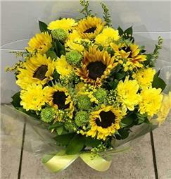 תמונה שצולמה להמחשת העבודות של bloom israel kazrin תמונה של bloom israel kazrin