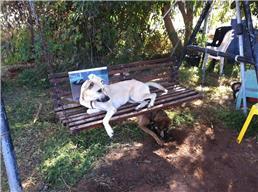 תמונה של פנסיון במושבה