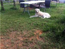 תמונה של פנסיון במושבה