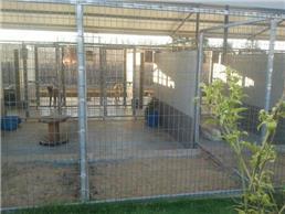 תמונה של פנסיון במושבה