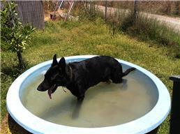 תמונה של פנסיון במושבה