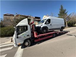 תמונה של דנדי גרר