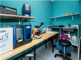 תמונה של מרפאה וטרינרית בטהובן נהרייה