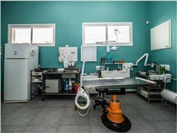 תמונה של מרפאה וטרינרית בטהובן נהרייה