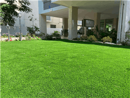 תמונה של משתלת אור גנים נקודת חן