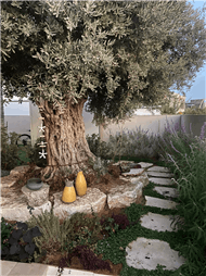 תמונה של משתלת אור גנים נקודת חן