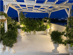 תמונה של משתלת אור גנים נקודת חן