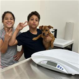 תמונה שצולמה להמחשת העבודות של מרפאה וטרינרית הום פט סנטר תמונה של מרפאה וטרינרית הום פט סנטר