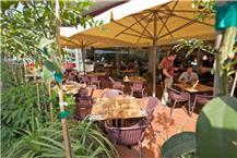 תמונה של פיאנו פיאנו