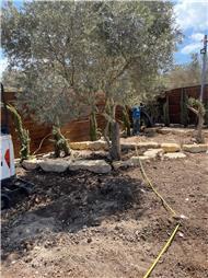 תמונה של בלאל עבודות עפר פיתוח ותשתיות