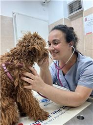 תמונה שצולמה להמחשת העבודות של וטרינריות בשכונה - פתח תקווה / ד"ר אפרת גינגיס תמונה של וטרינריות בשכונה - פתח תקווה / ד"ר אפרת גינגיס