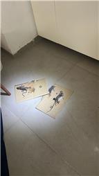 תמונה של עידן המדביר