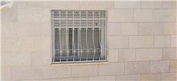 תמונה של איירון פאשן