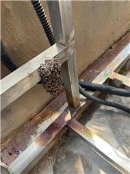 תמונה שצולמה להמחשת העבודות של ISPM הדברה תמונה של ISPM הדברה