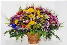 תמונה שצולמה להמחשת העבודות של הפרח זרים מתוקים