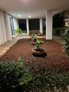 תמונה שצולמה להמחשת העבודות של אלמוג לוי תמונה של אלמוג לוי