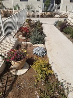 תמונה שצולמה להמחשת העבודות של אלמוג לוי תמונה של אלמוג לוי