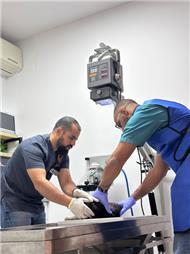 תמונה של דוקטור וטרינרי - doctor veterinary | מרפאה, מספרת חיות, מזון לחיות