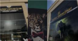 תמונה של דוקטור וטרינרי - doctor veterinary | מרפאה, מספרת חיות, מזון לחיות